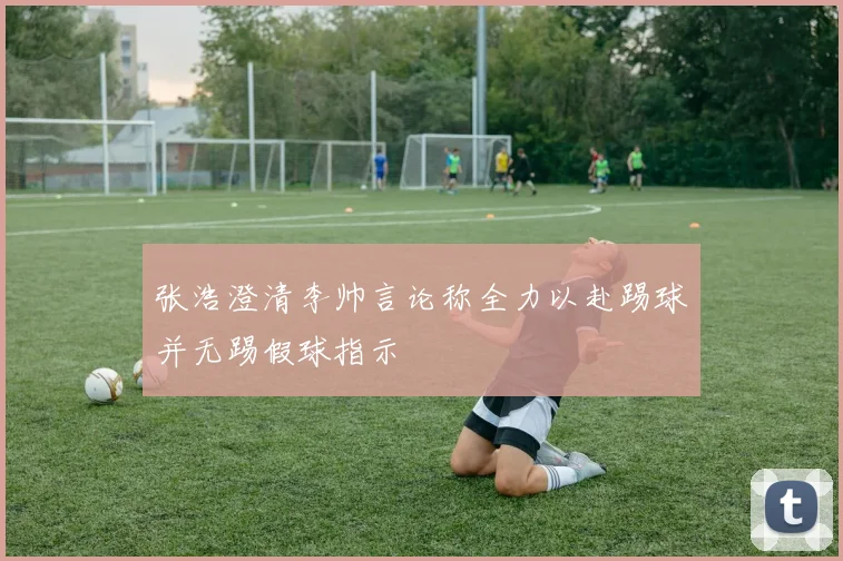 张浩澄清李帅言论称全力以赴踢球并无踢假球指示